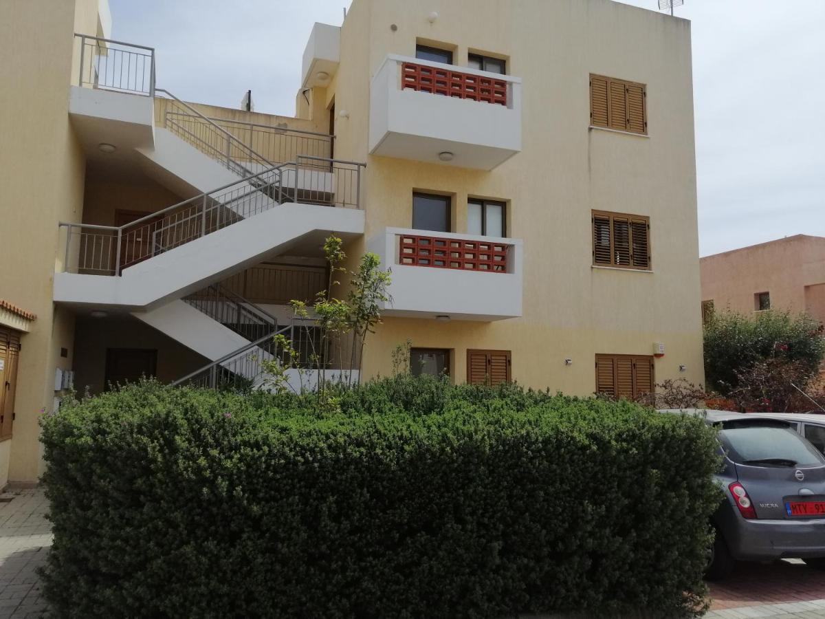 Dream Place For Relax, Sun And Sea All Year Round Paphos Esterno foto